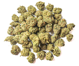 Maliboo Indoor - Mini buds