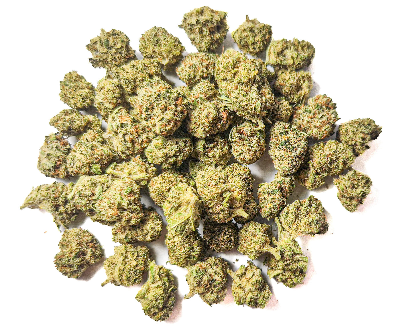California Haze Indoor - Medium buds