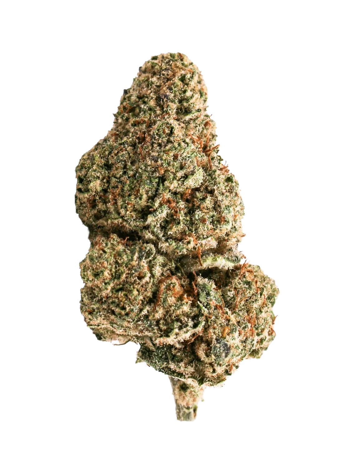Buddha Cheese Limited Edition – fleur CBD Weedream