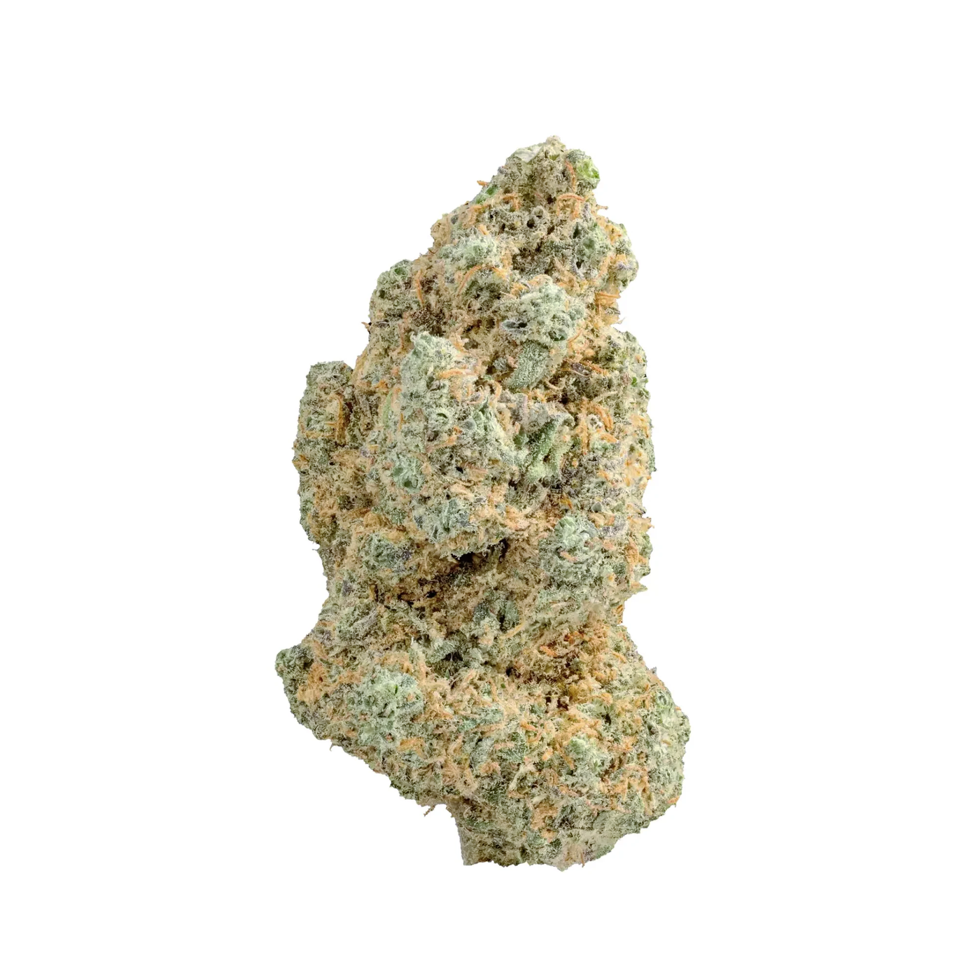 Critical Star - Limited Edition