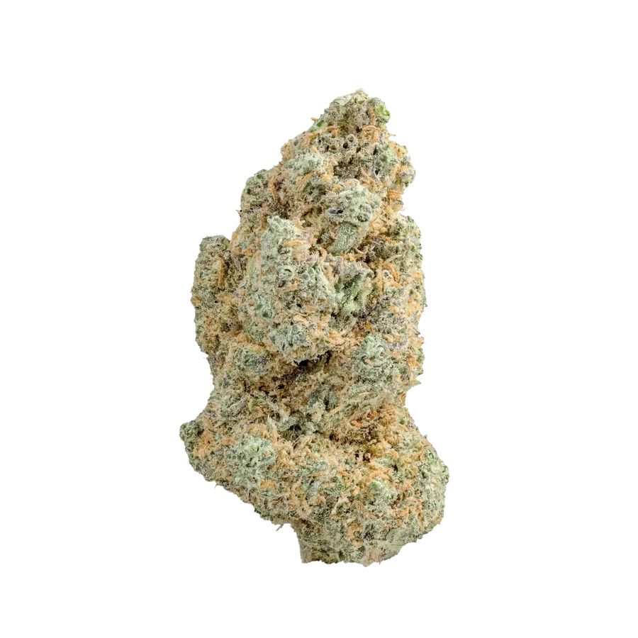 Critical Star – fleur CBD indoor suisse Weedream