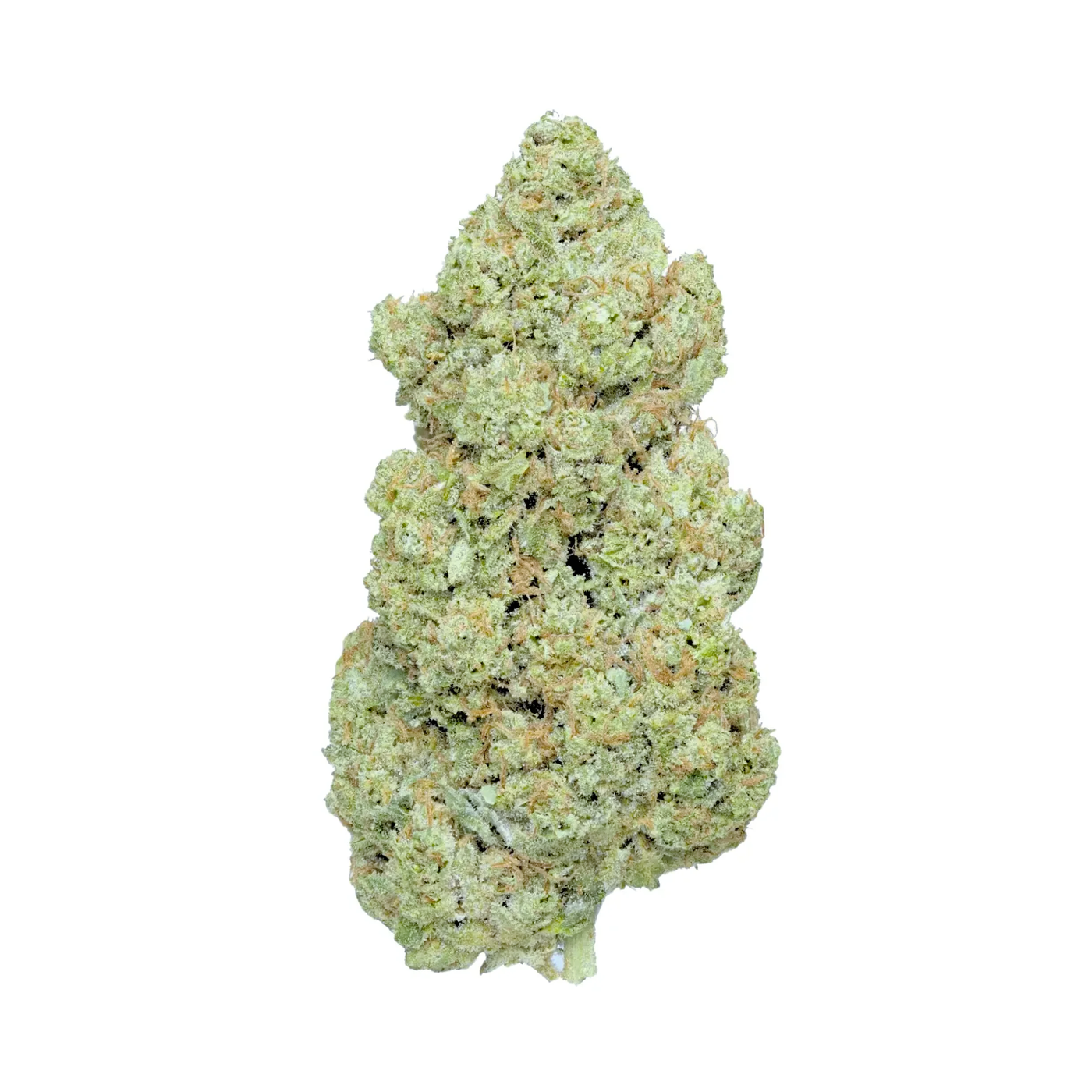 🥭 Mango Kush – Édition Limitée