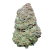 Northern Light X Indoor – fleur CBD Weedream