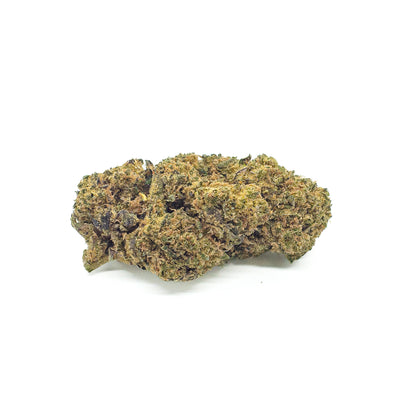 Purple Punch Indoor – Limitierte Auflage