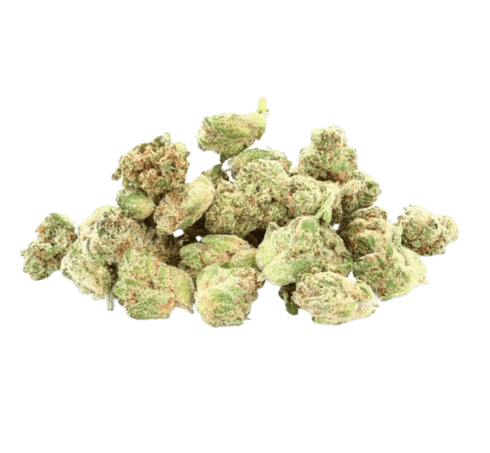 Tangerine Indoor - Mini buds