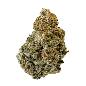 Lemon Haze – Indoor