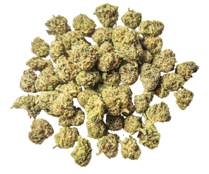 Maliboo Indoor - Mini buds
