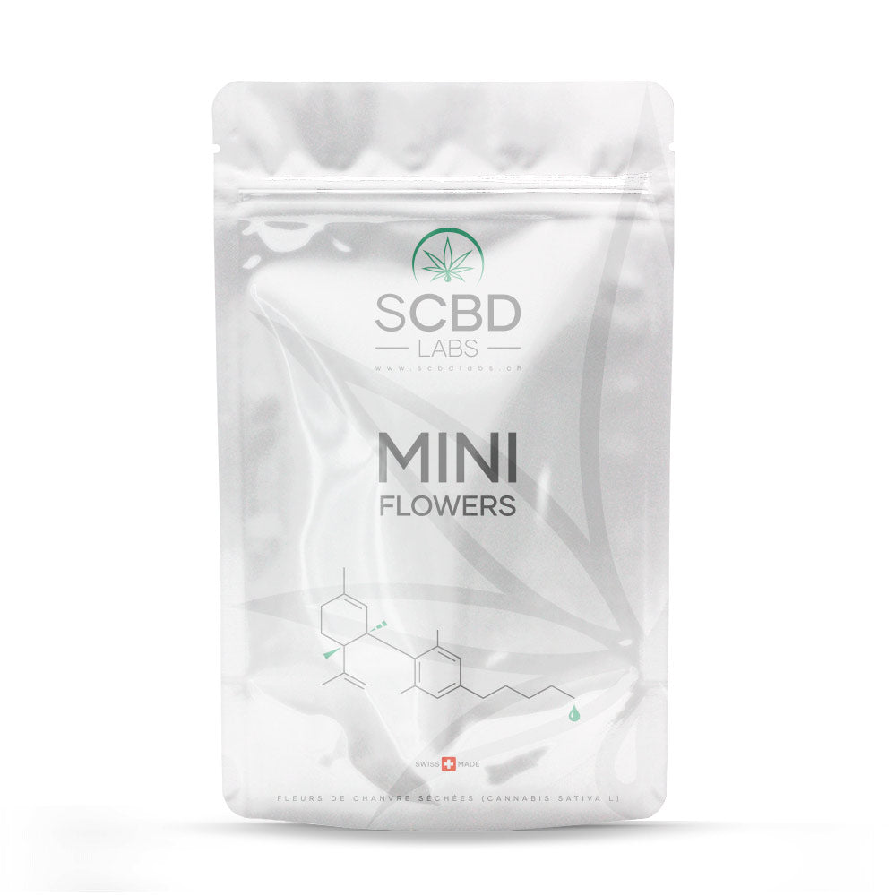 Mini buds Indoor - SCBD Labs