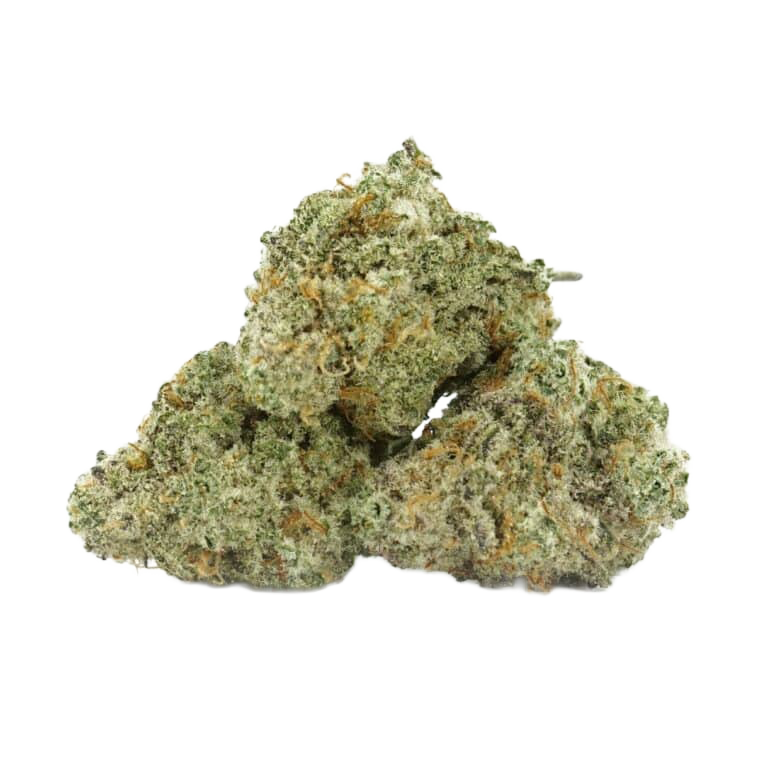 Northern Light X Indoor - Medium buds