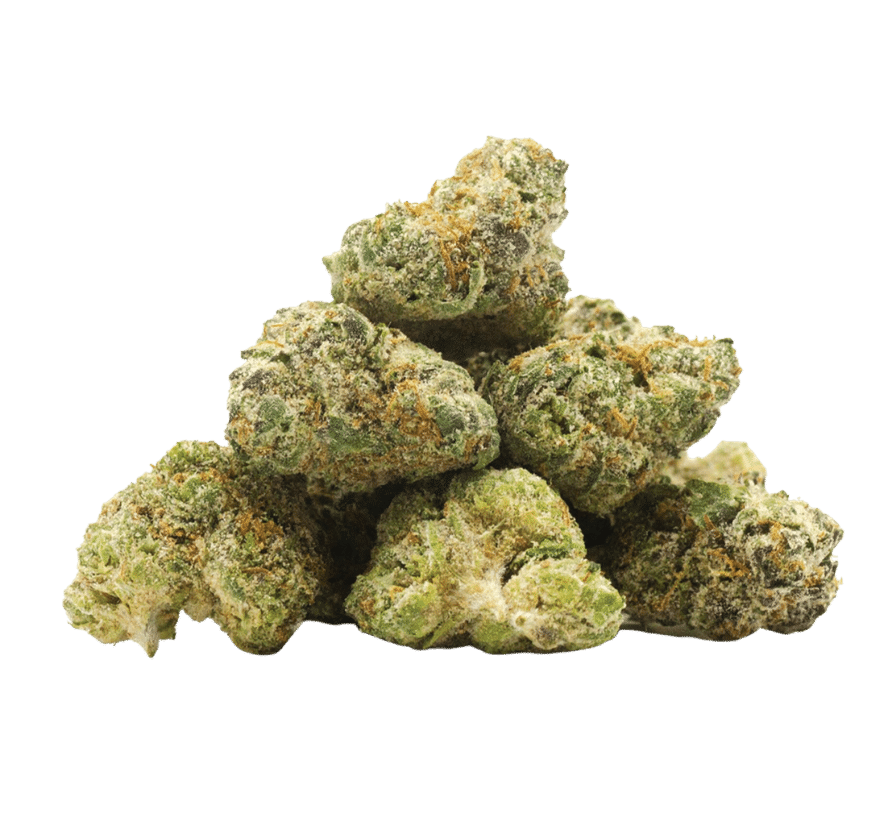 Northern Light X Indoor - Mini buds