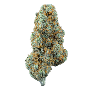 Plutonium Kush - Indoor