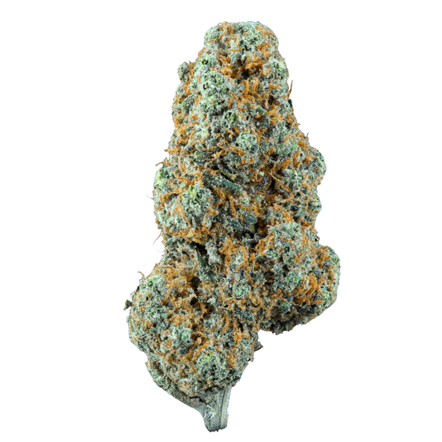 Fleur CBD Plutonium Kush Indoor Weedream – CBD suisse