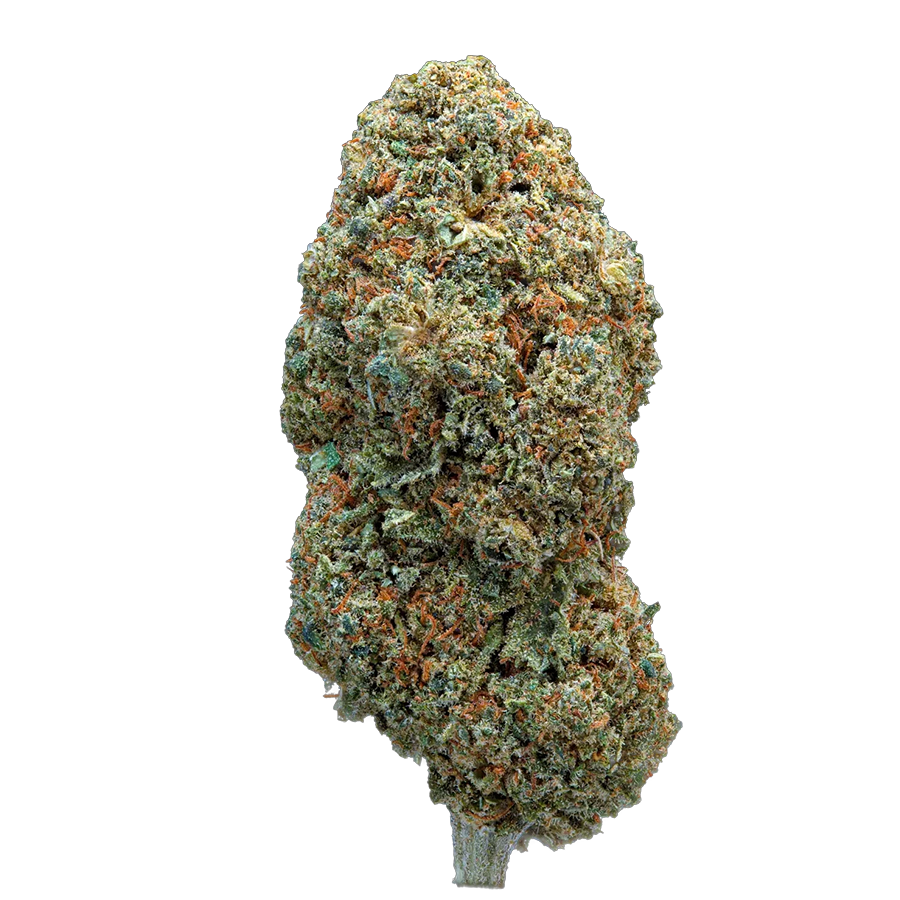 Raspberry Creme Hybride – fleur CBD Weedream