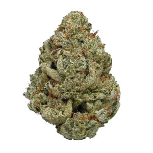 Skittlez – Indoor