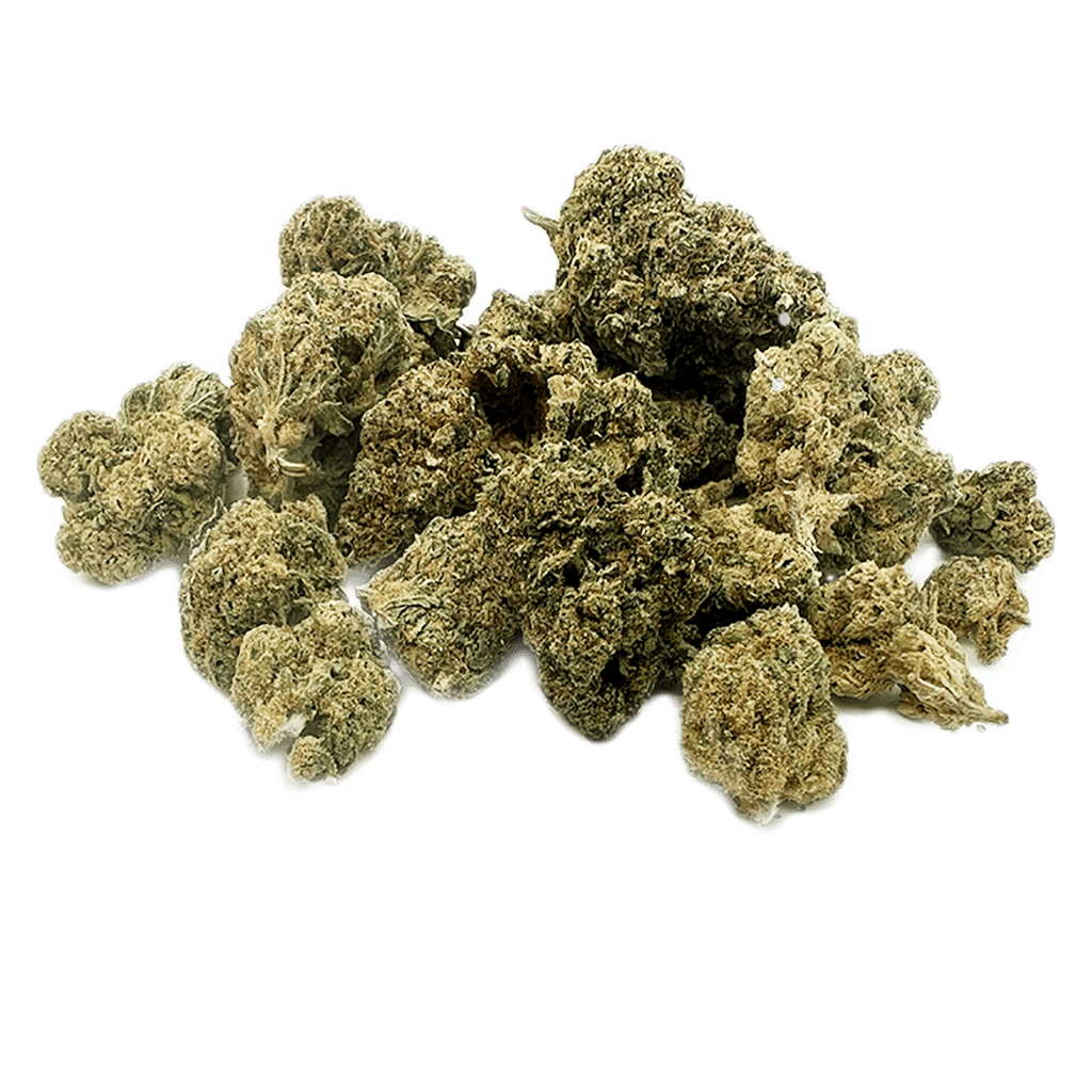 Snow Flake Indoor - Mini buds