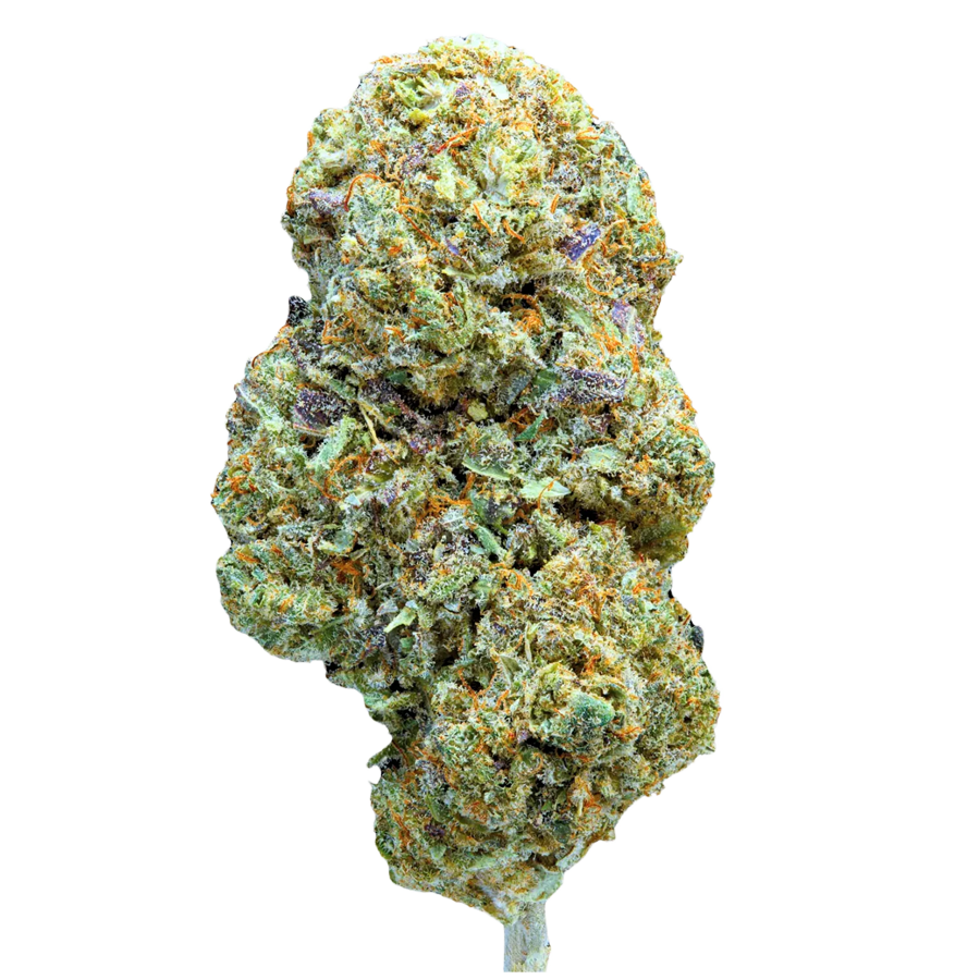 Snow Flake Indoor – fleur CBD Weedream