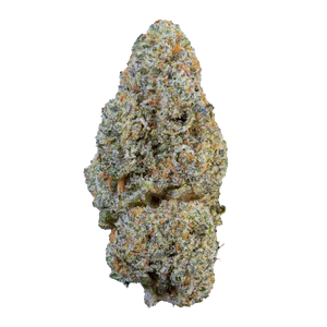 Sunset Sherbet – Indoor