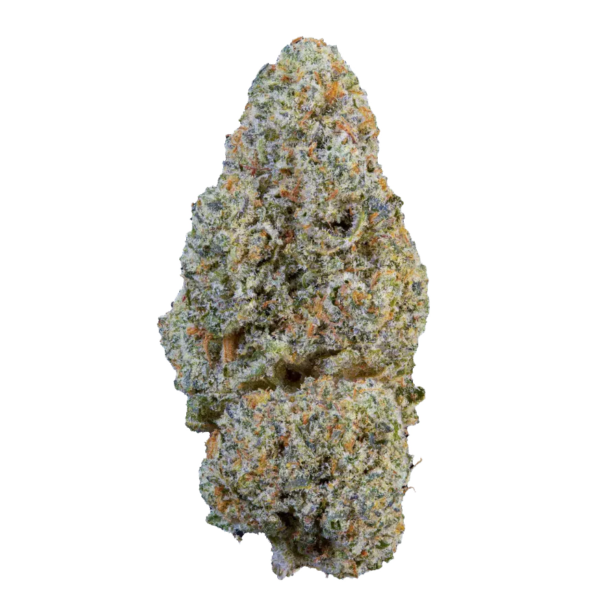 Sunset Sherbet – fleur CBD indoor suisse Weedream