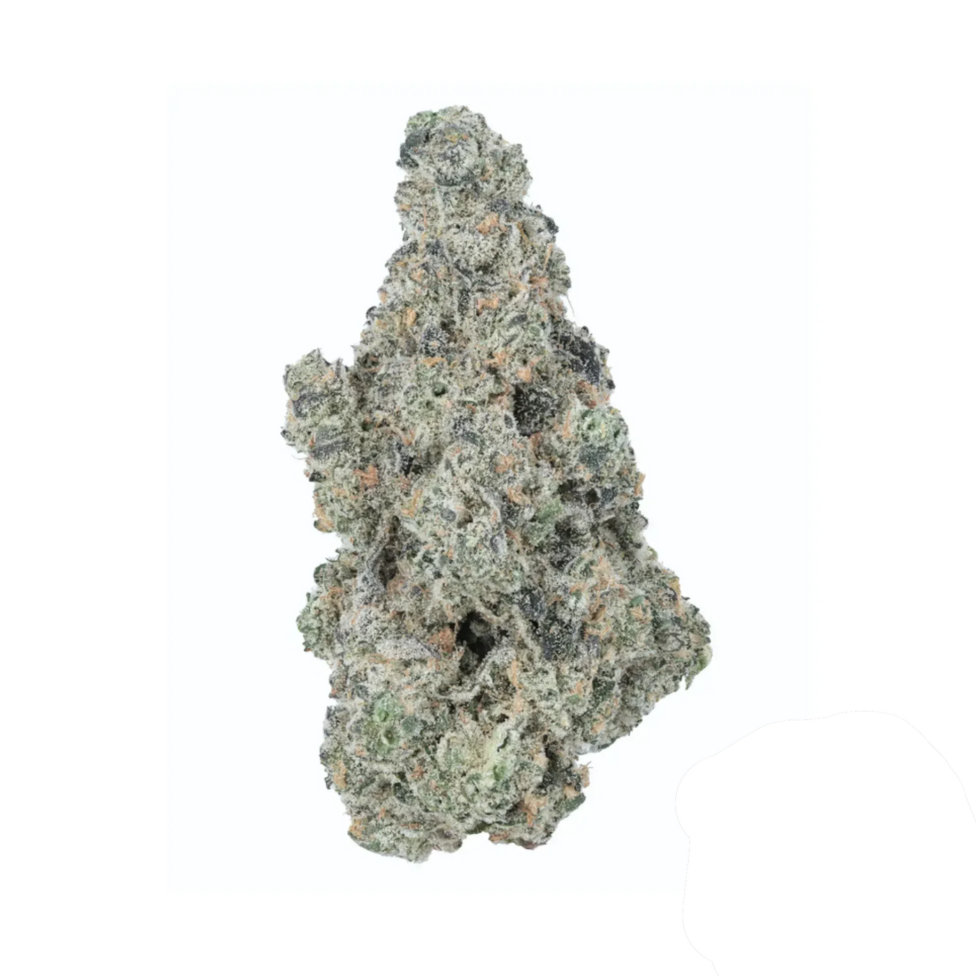 White Cookie - Limited Edition