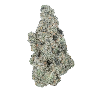 Cookie - Limited Edition