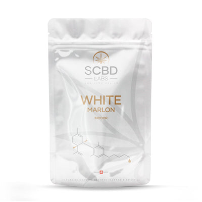 White Marlon Indoor - SCBD Labs