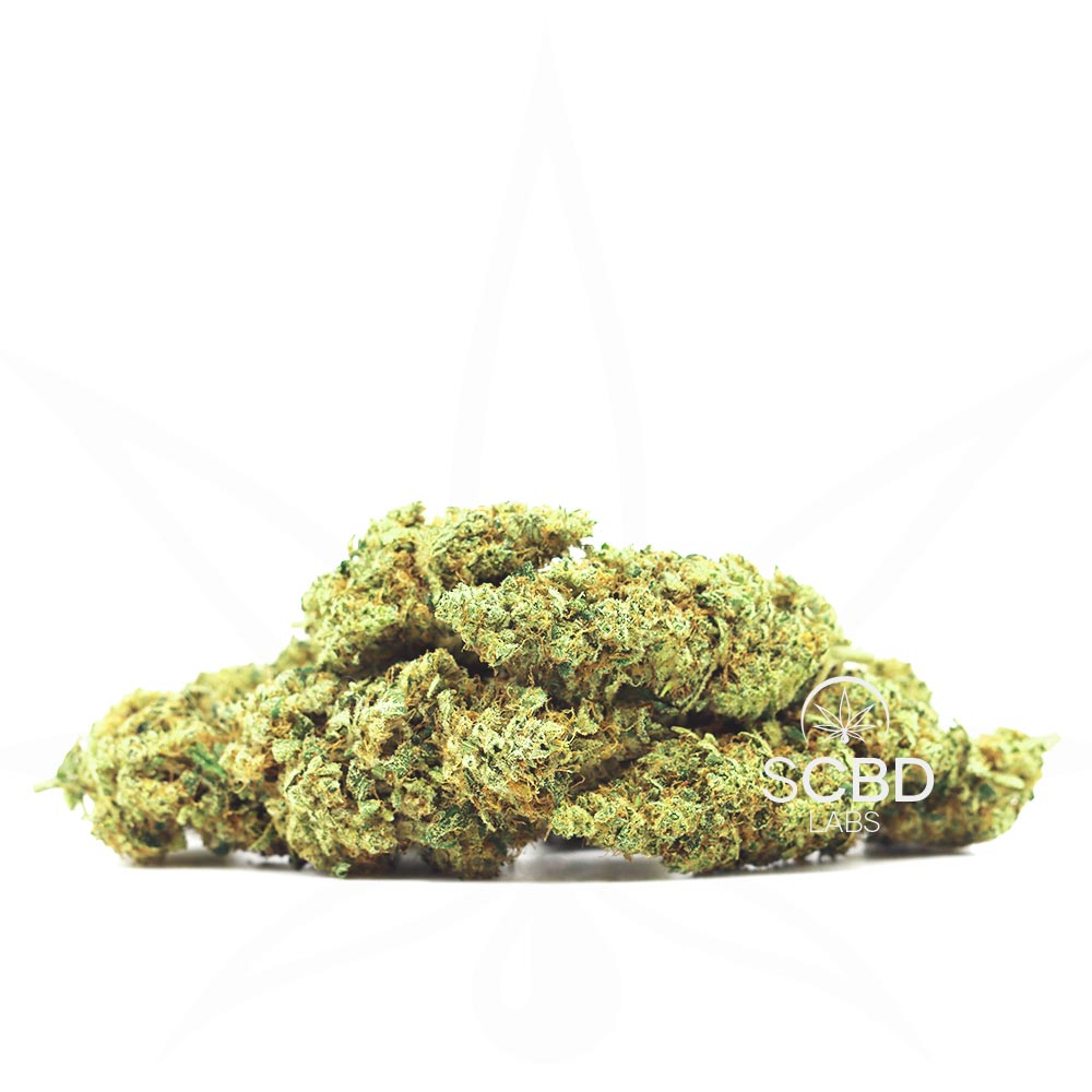 Limoncello Indoor - SCBD Labs